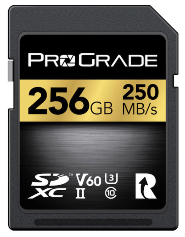 Prograde SD Memory card 256G