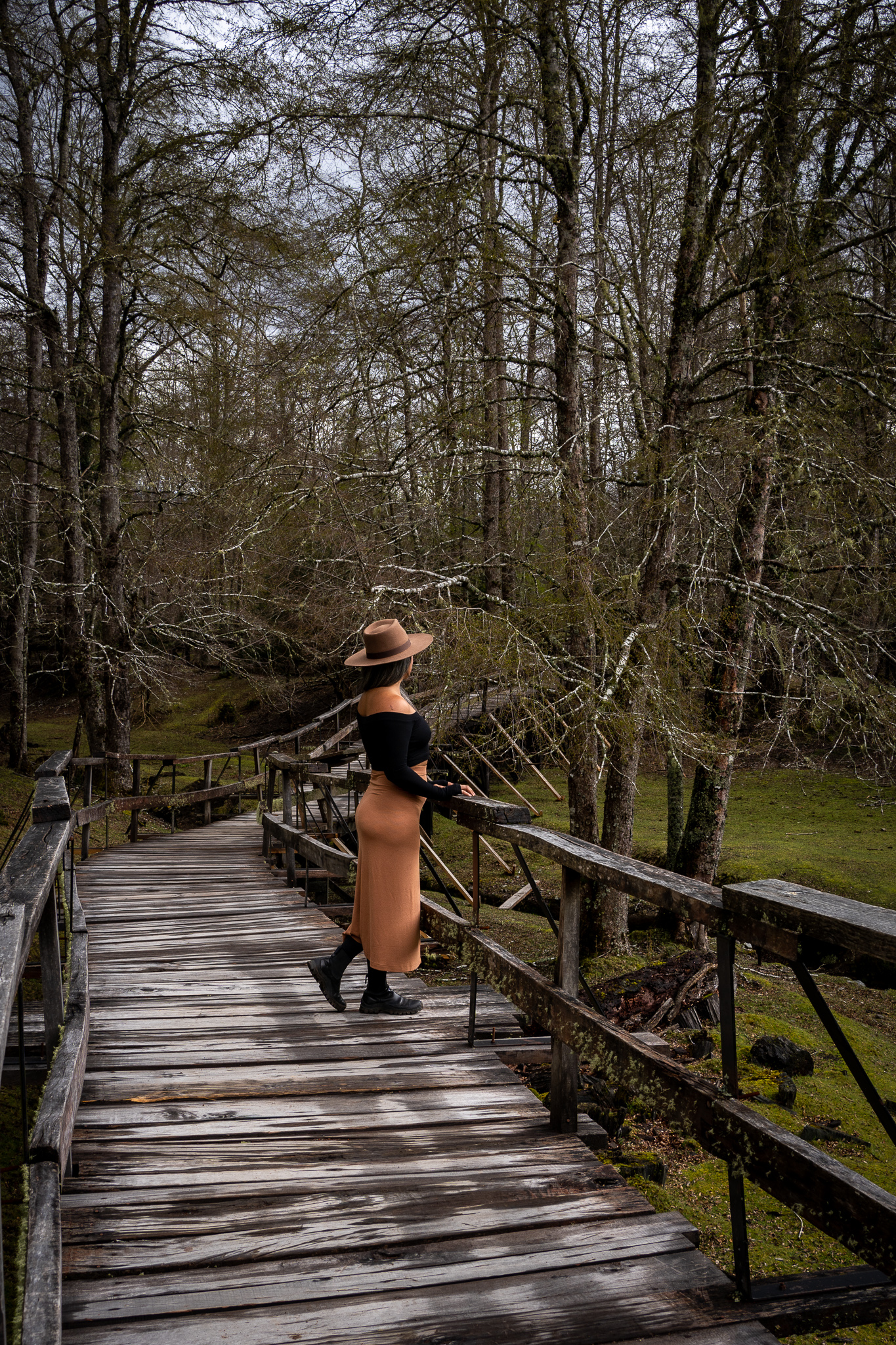 San Diego Hat Company Julian Fedora in Brown Alix NYC Sutton top and Fordham Skirt ATP Atelier Catania Boots Huilo Huilo Chile deer reserve