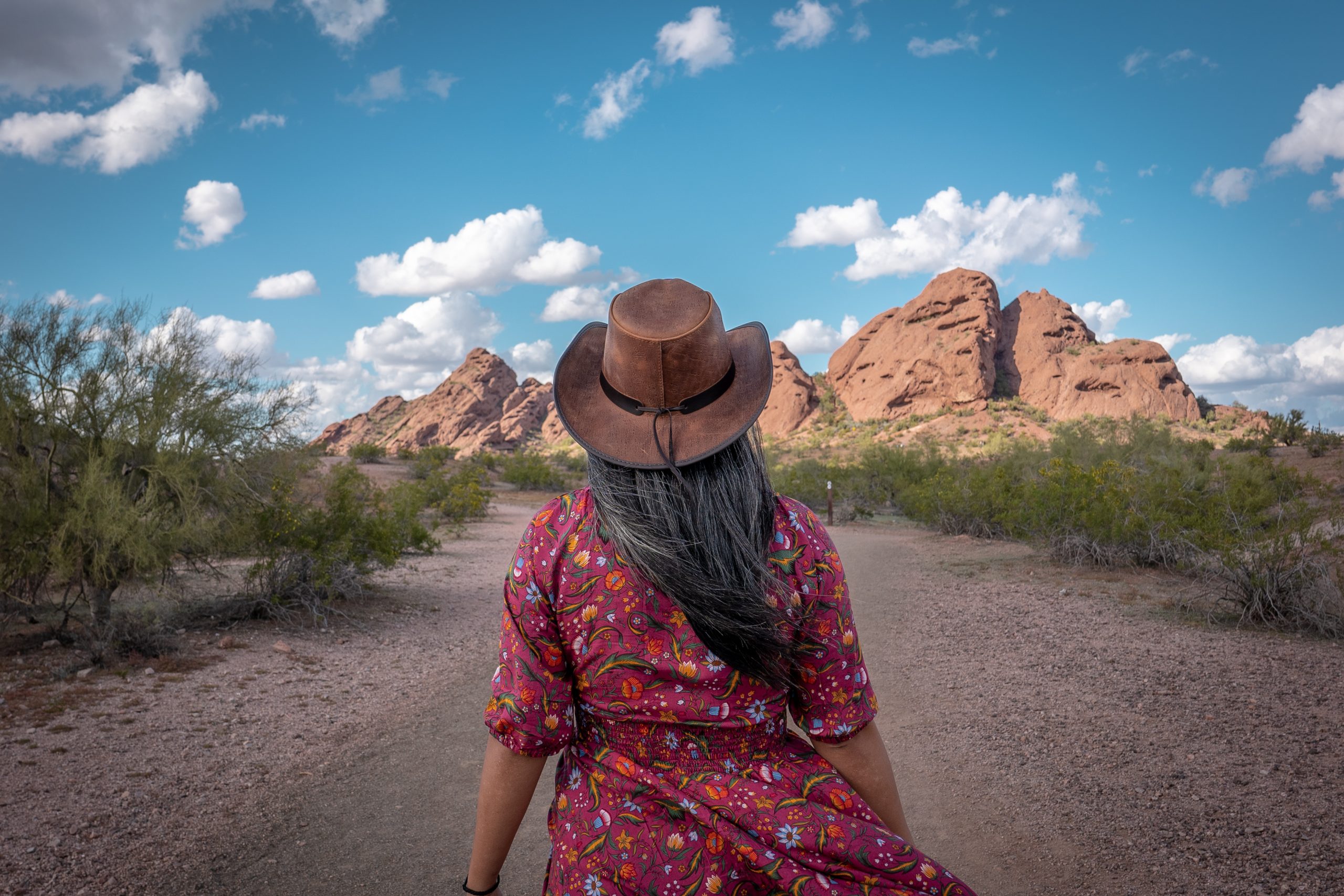 American Hat Makers Cyclone Cowboy Hat in Cobblestone Tamga Designs Isla Dress Arizona Papago Park