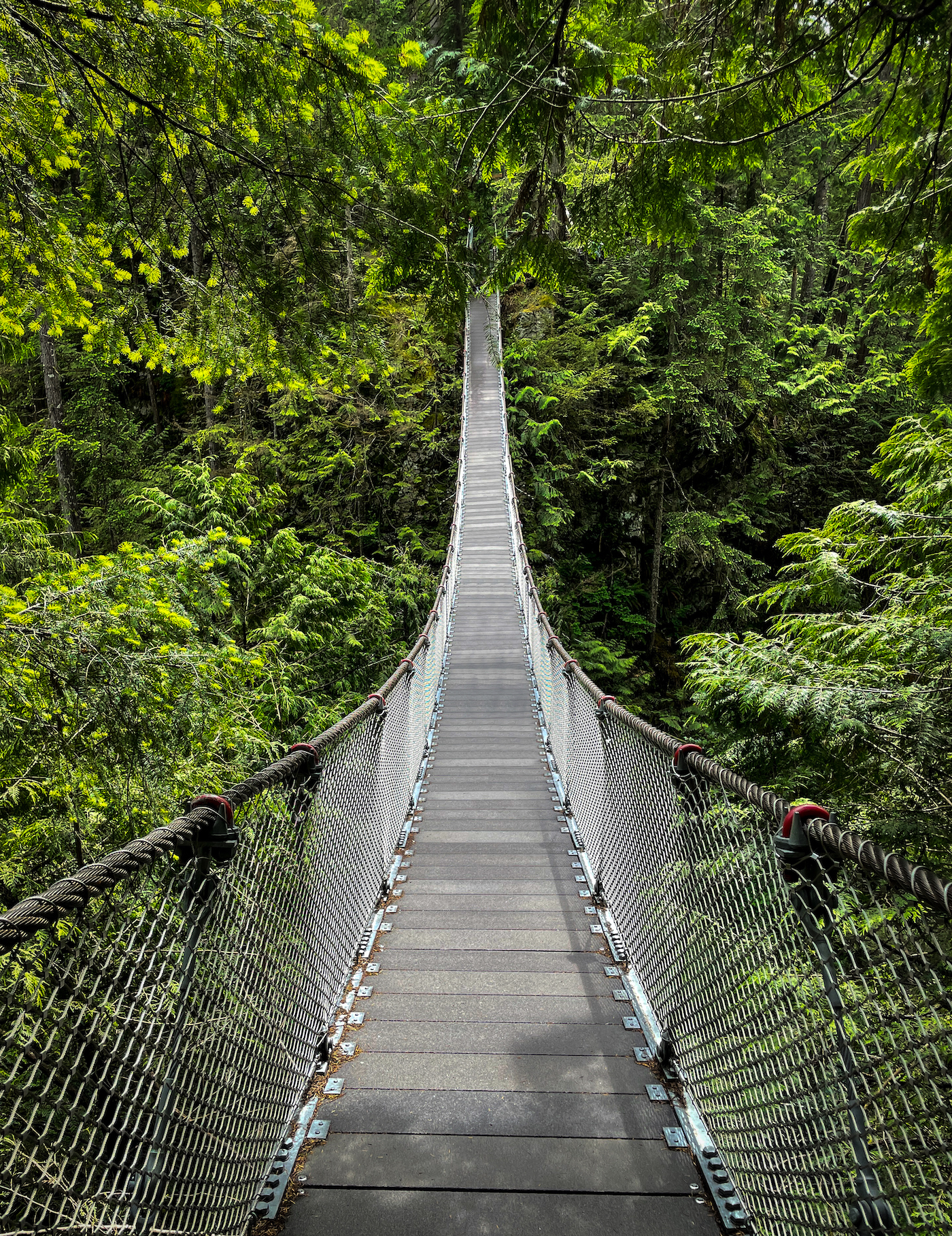 Lynn Canyon Suspension Bridge Vancouver BC Canada