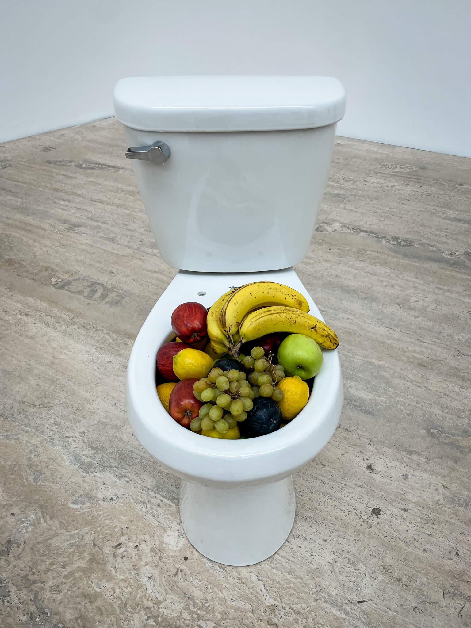 museo jumex museum Urs Fischer exhibit fruit in toilet bowl