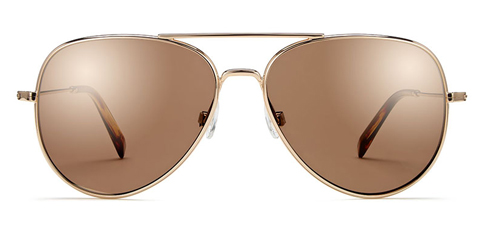 Warby Parker Raider Aviator Sunglasses Gold