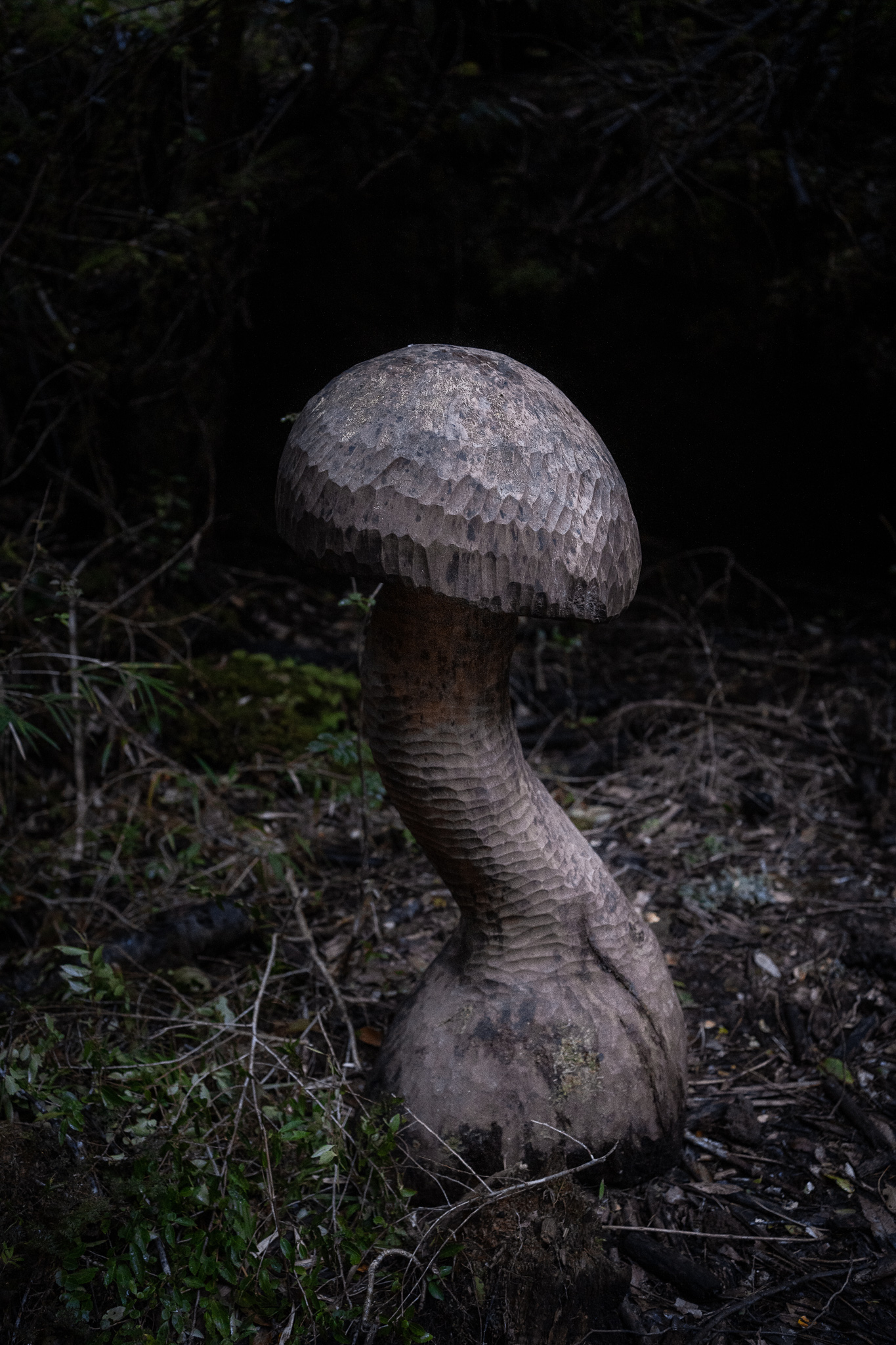 Wooden Mushroom statue on the trail of the spirits Huilo Huilo Biological Reserve