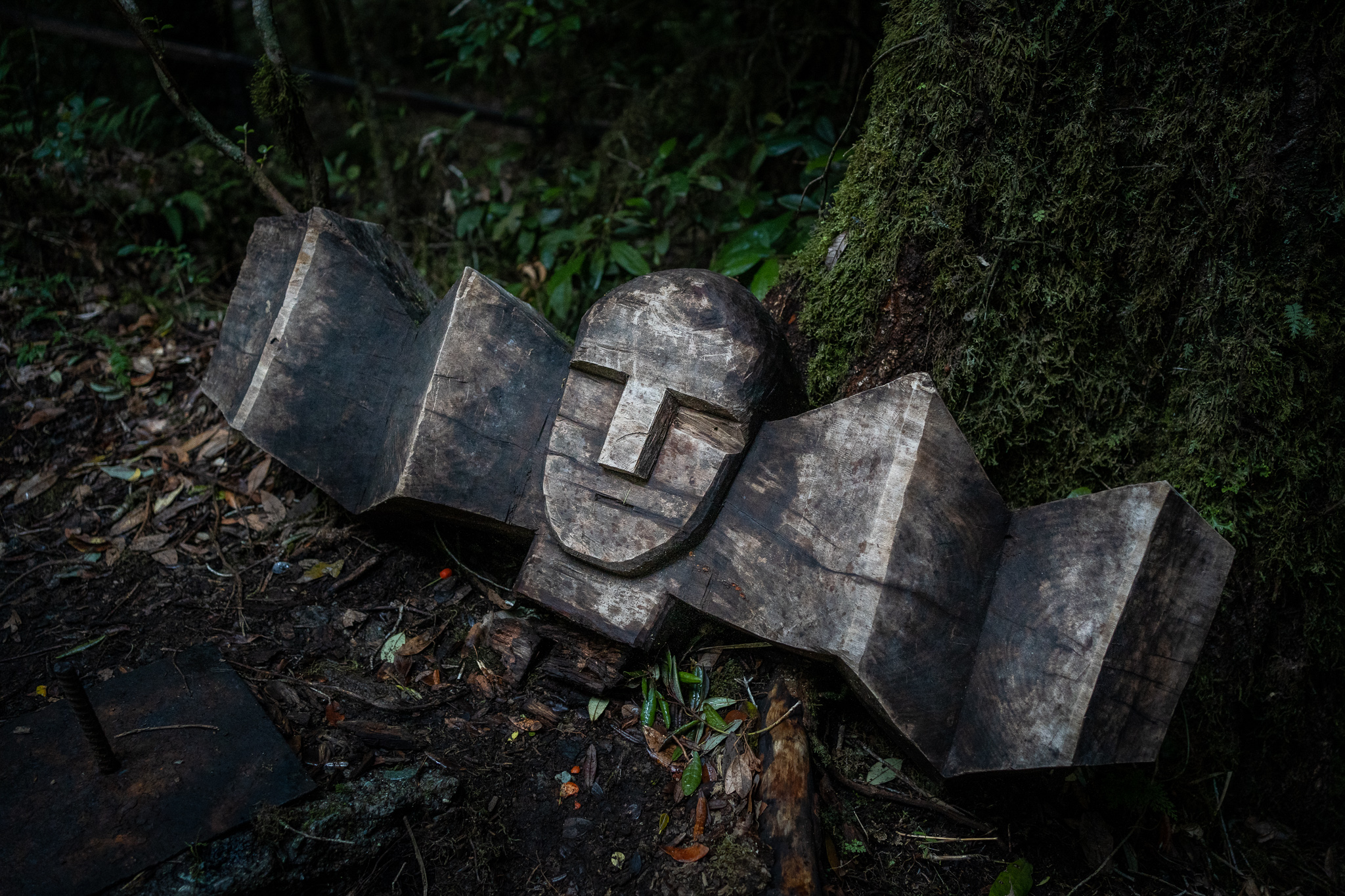 Wooden sculpture on the trail of the spirits sendero de los espiritus Huilo Huilo Reserva Biologica
