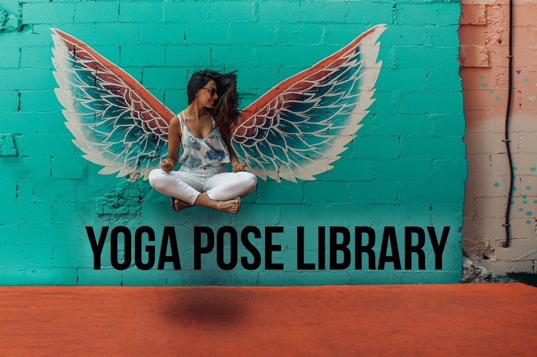 Yoga Pose Library