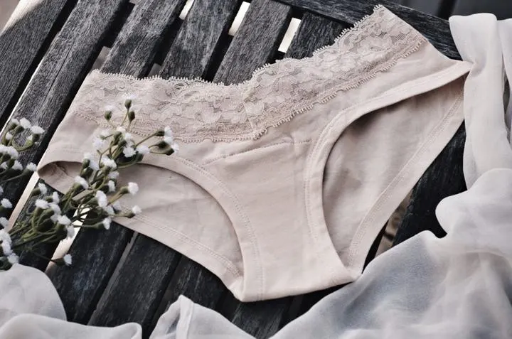 Cameltoe V-Shaped Lace Panties White