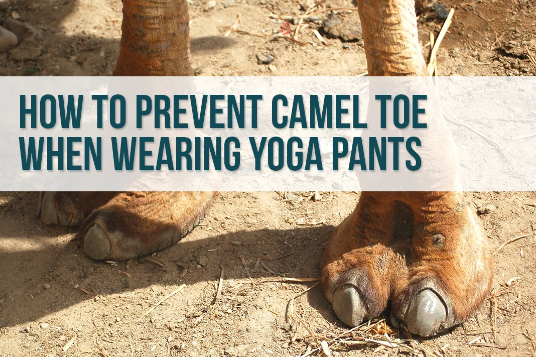 Her new yoga pants might be a little too tight, she's got a camel