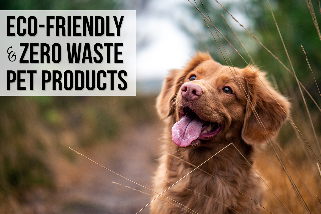 Eco-Friendly and Zero Waste Pet Products